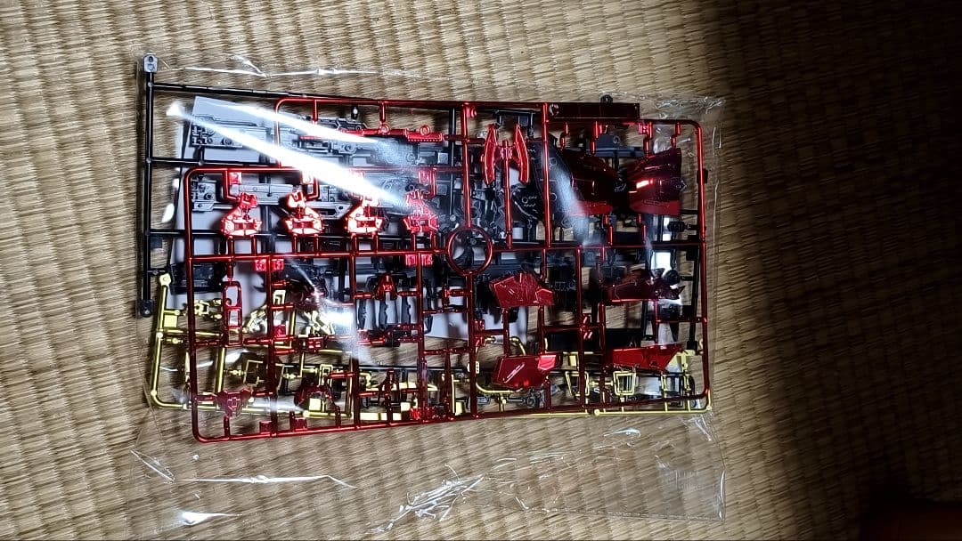 RG 1/144 沙扎比　赤メタリック色
