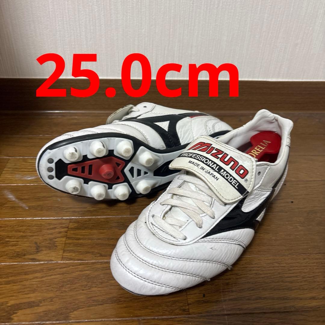 サッカースパイクモレリア