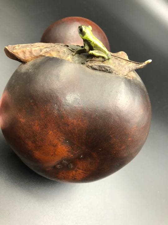 時代古瓢箪 時代提げ物 酒器 煎茶飾 置物 蓋物 工芸品 中国古玩骨董