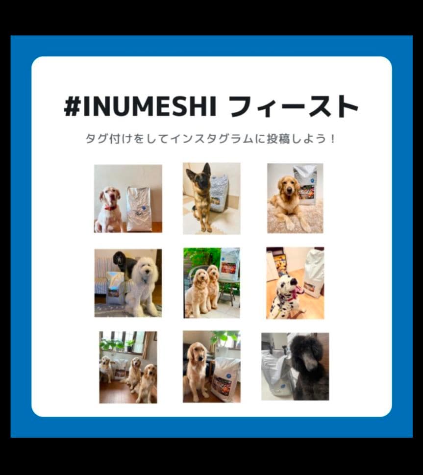 INUMESHIフィースト 1才以上 大型犬用 大粒 15kg ブリーダーパック