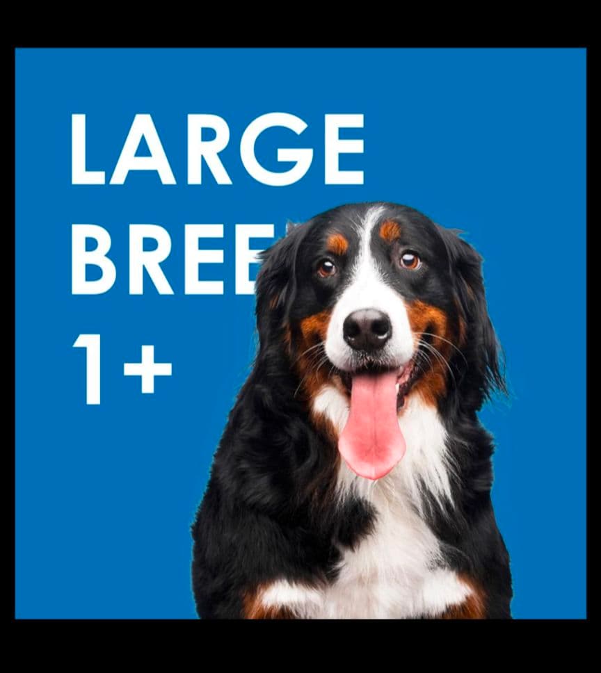 INUMESHIフィースト 1才以上 大型犬用 大粒 15kg ブリーダーパック