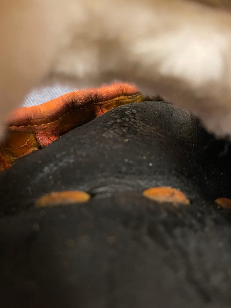 ザナックス　野球 硬式グローブ 一般用　大人　右投げ　グラブ　内野　右利き