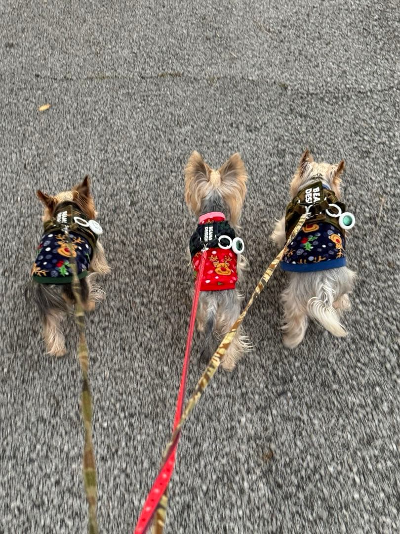 ☆ランラン☆ページ　雪だるま柄フリルワンピース、トナカイ柄タンクトップ