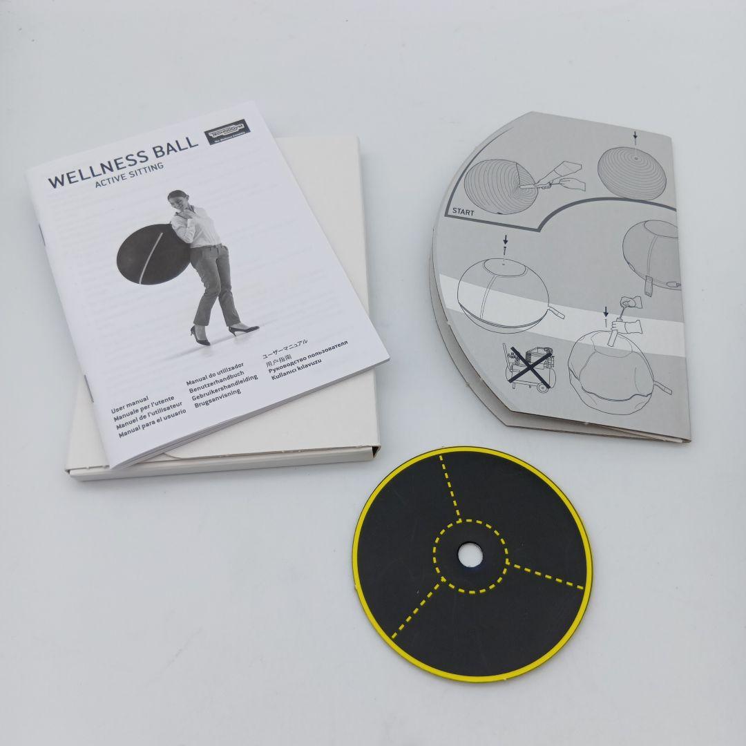WELLNESS BALL　テクノジム アクティブシッティング