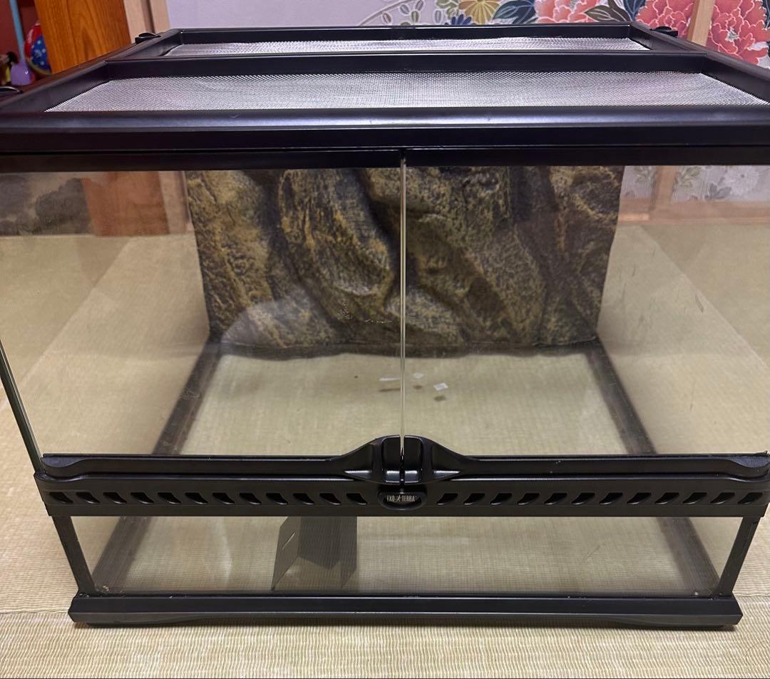 爬虫類ゲージ GEX グラステラリウム45×45×30