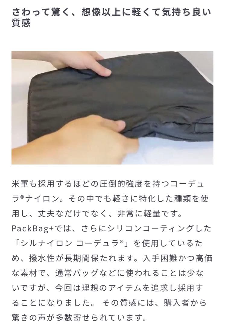 HOLICC PackBag+ Lサイズ　黒　ショルダーストラップなし※中古