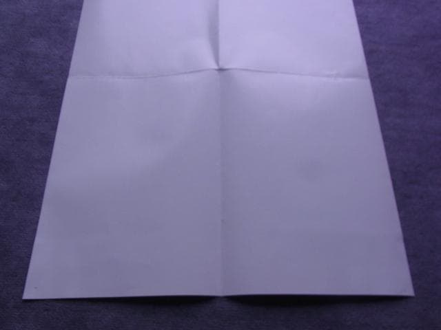 非売品　ポスター　MTG　世界選手権開催記念　スペシャル土地カード　当時物