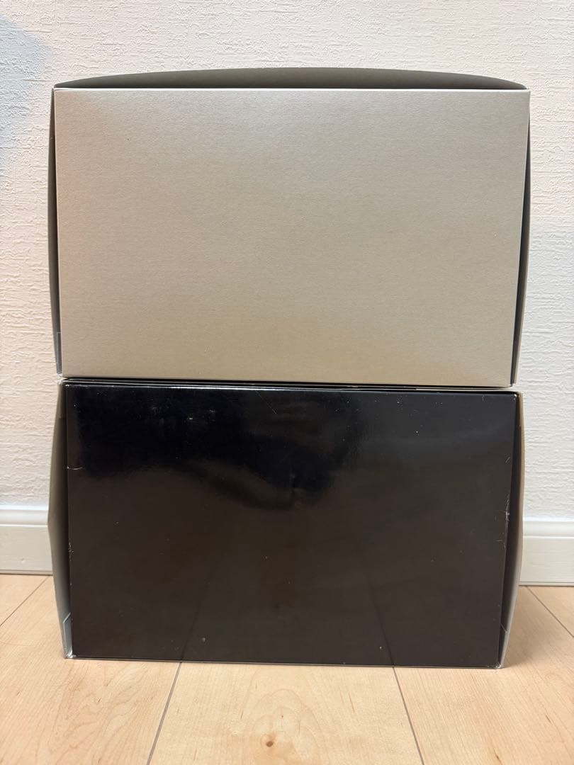 ＊RGガンプラ2体セット