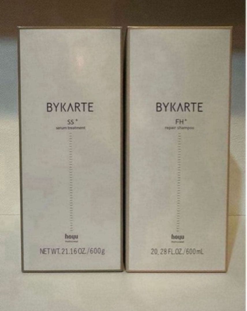 バイカルテFH SS 600 セット