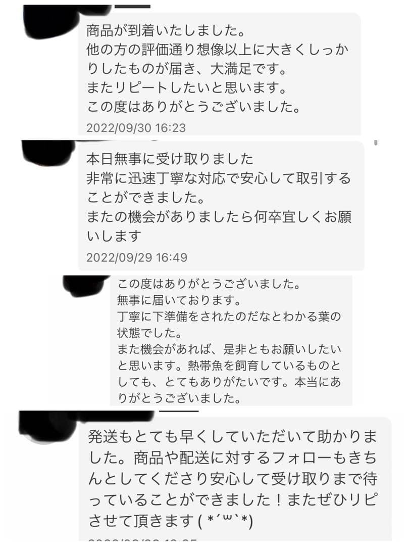 沖縄県やんばる産マジックリーフ 1kg UV殺菌灯照射済み③