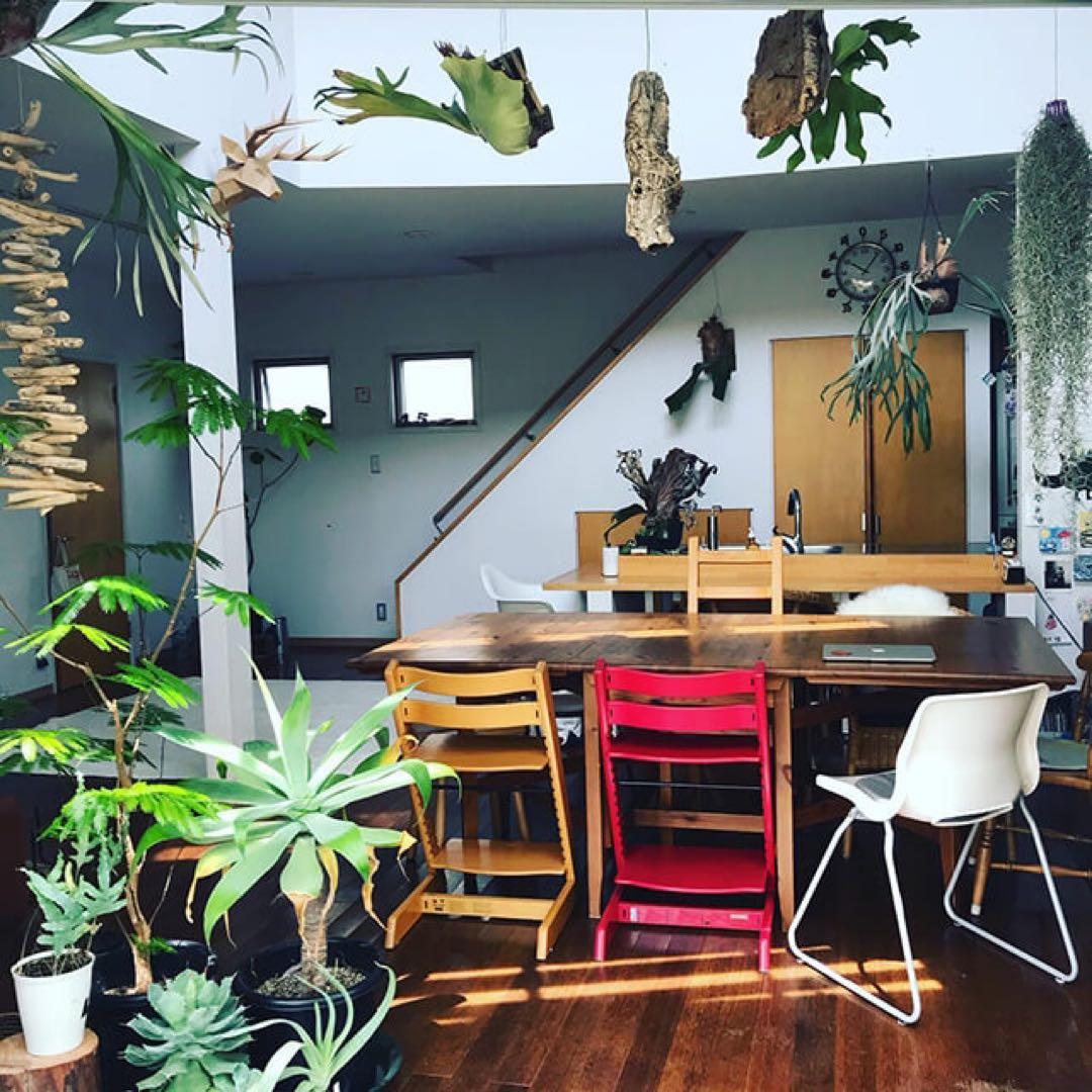 ☘️送料込⭐️美品⭐️ウォールナット⭐️STOKKE⭐️ストッケ トリップトラップ