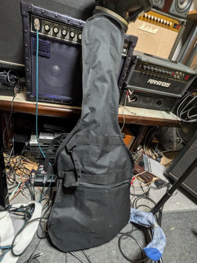 オリジナル　LP　雑gold塗装ハム×2　調整済みは動画！