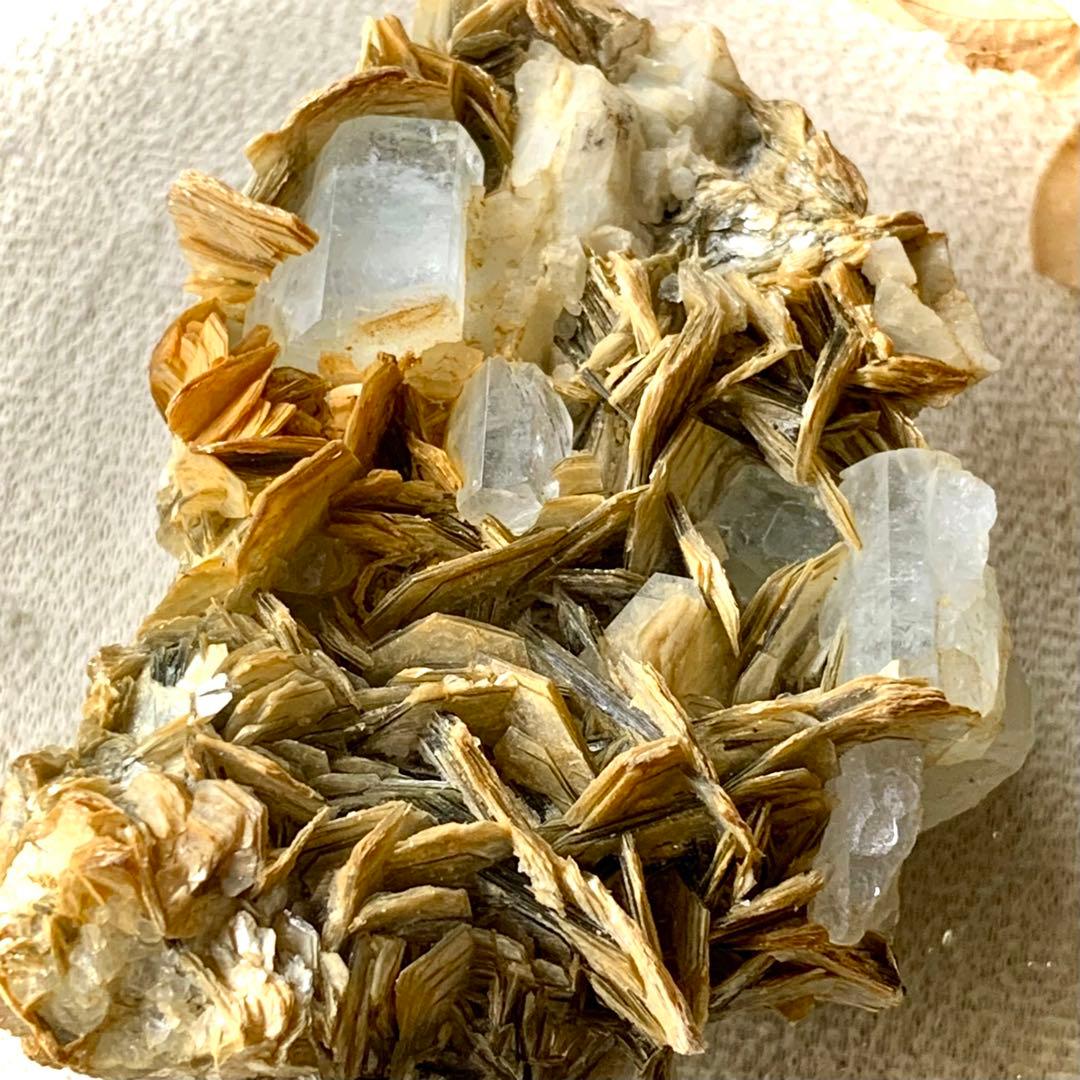 アクアマリン×モスコバイト共生標本-1