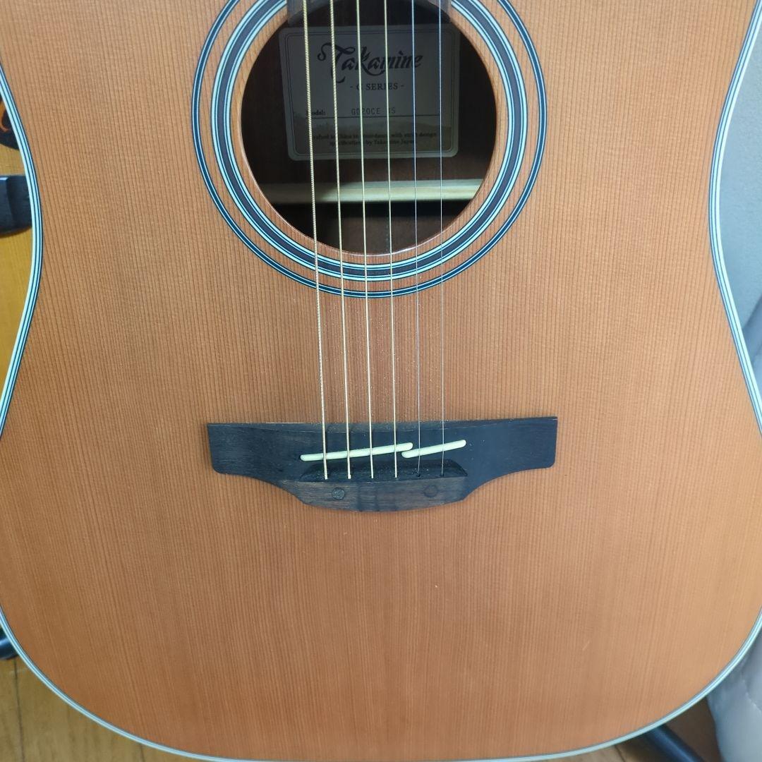 タカミネ海外輸出モデルGD-20CE-ns、