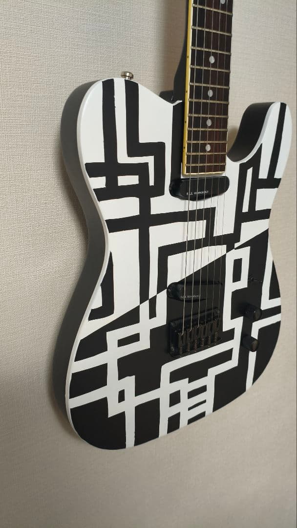 FERNANDES　TEJ70改　G柄　BLACK&WHITE　EMG-SAｘ2
