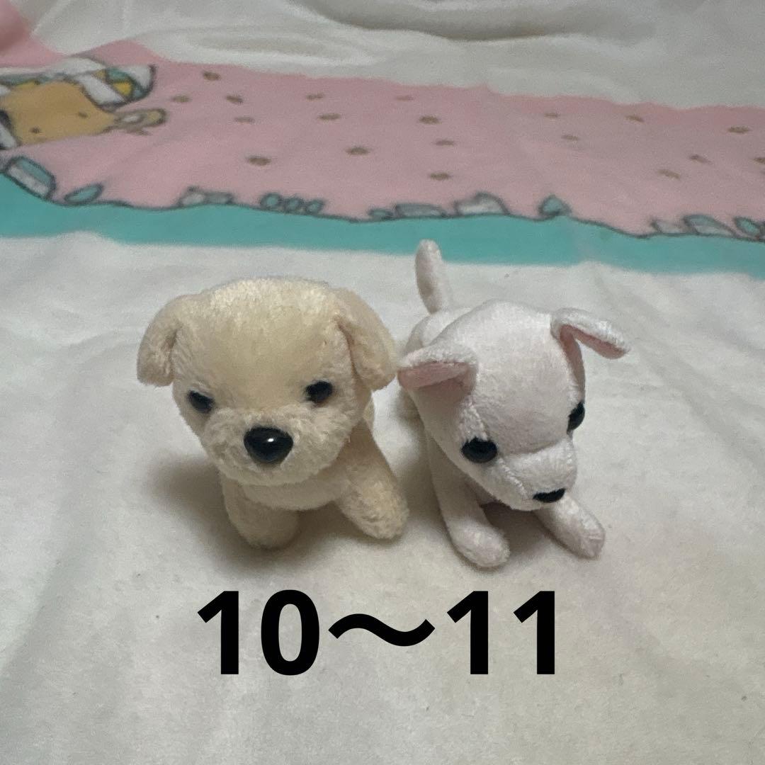 ぬいぐるみ まとめ売り☆ 13こ バラ売り不可 中古品 ‪◇