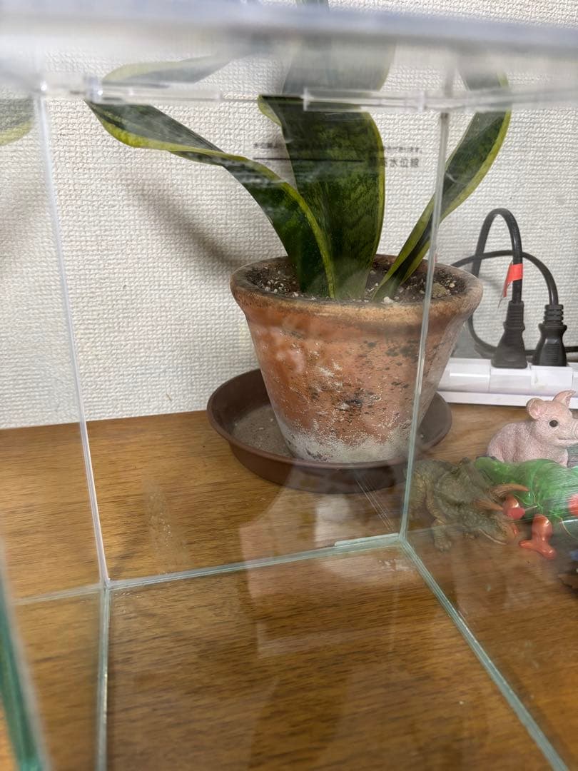 KOTOBUKI LEGLASS 150ハイ　水槽GEXヒーター5セット