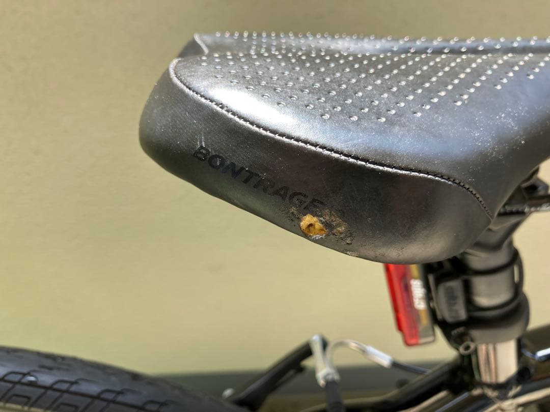 メル子さんページです！