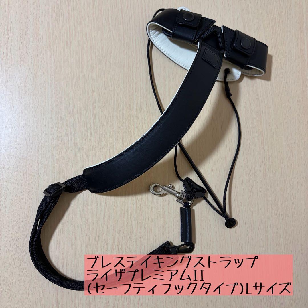 【超美品】YAMAHA アルトサックス YAS-62 サクソフォン本体