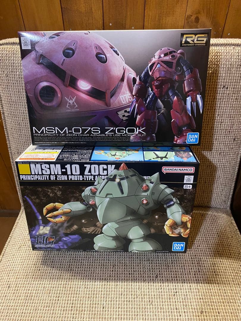 rg ズゴッグ hg ゾック　まとめ売り