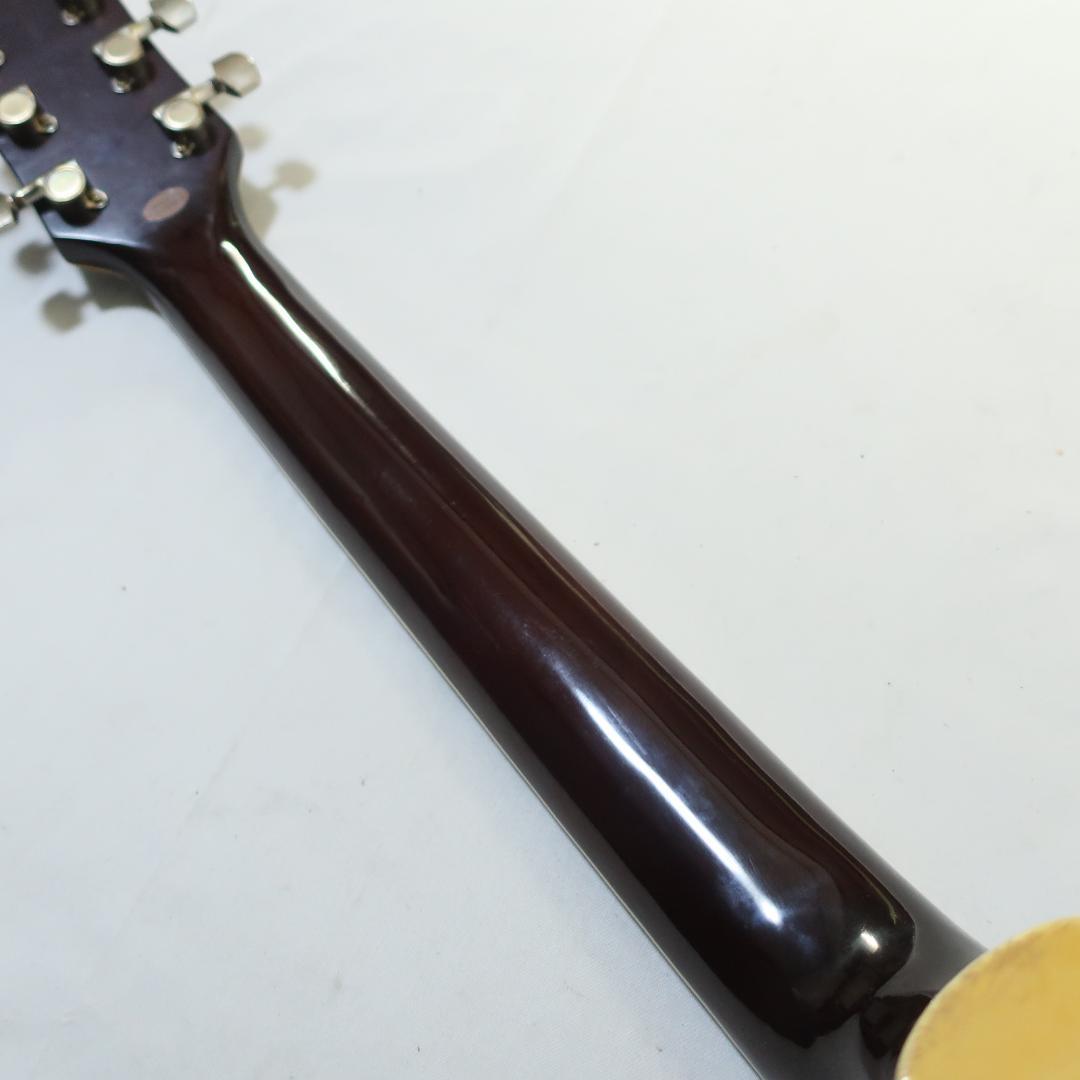 Pro Martin EAW-350 WRS エレアコ ギター ケース付