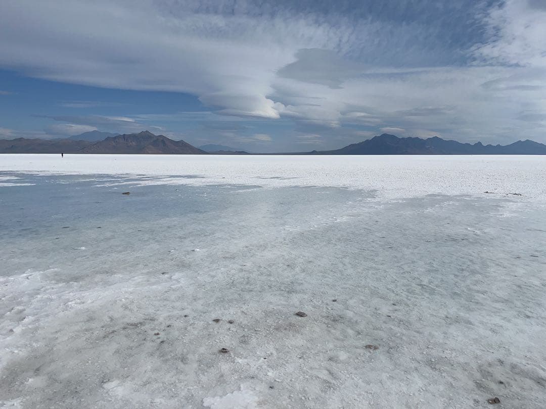 ★週末SALE　エンハンサー１０本