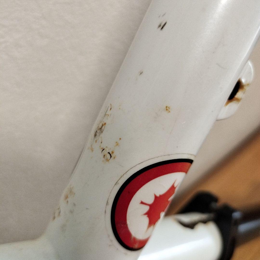 く*ー様 ROCKY MOUNTAIN BLIZZARD MTBフレーム　電蝕ジ