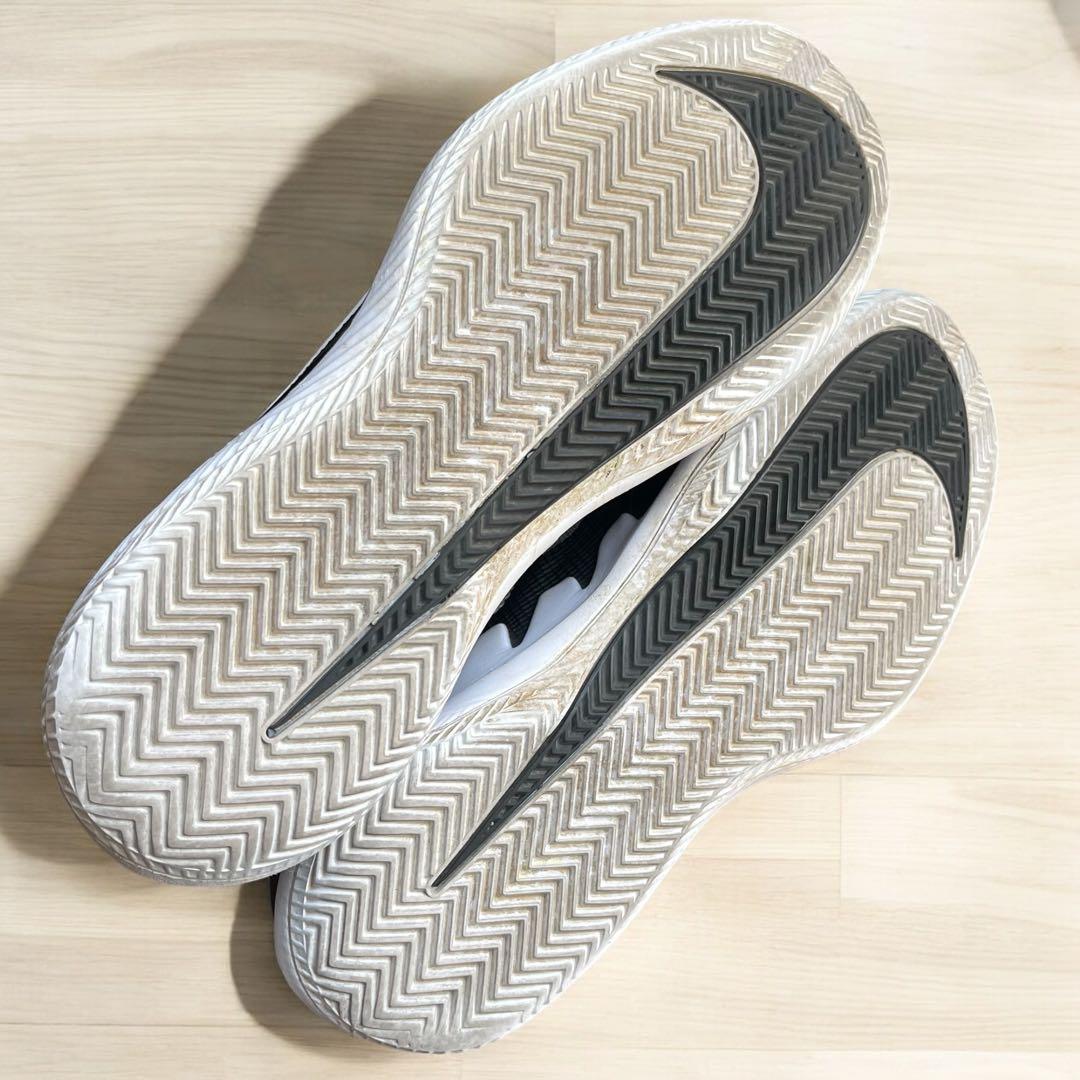 恐竜　ナイキ　テニスシューズ　ズームヴェイパープロ　クレー　オムニ