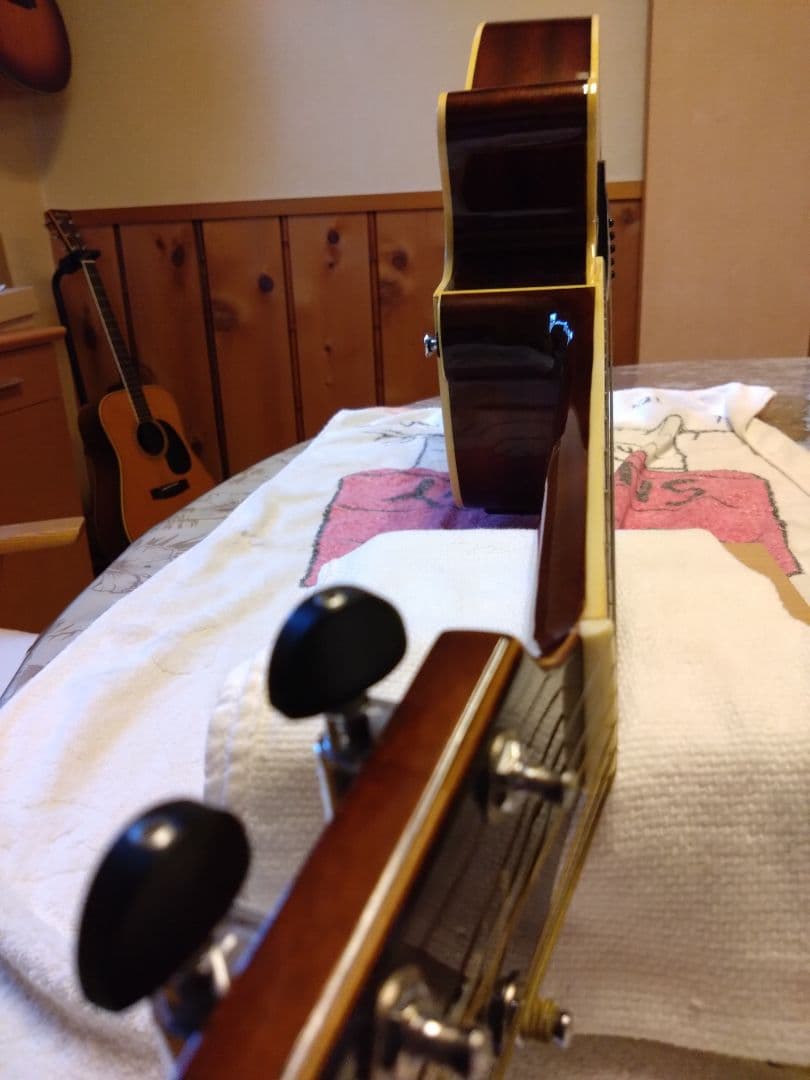 タカミネTCP-480ASG サンバーストタバコ　プリアンプ搭載