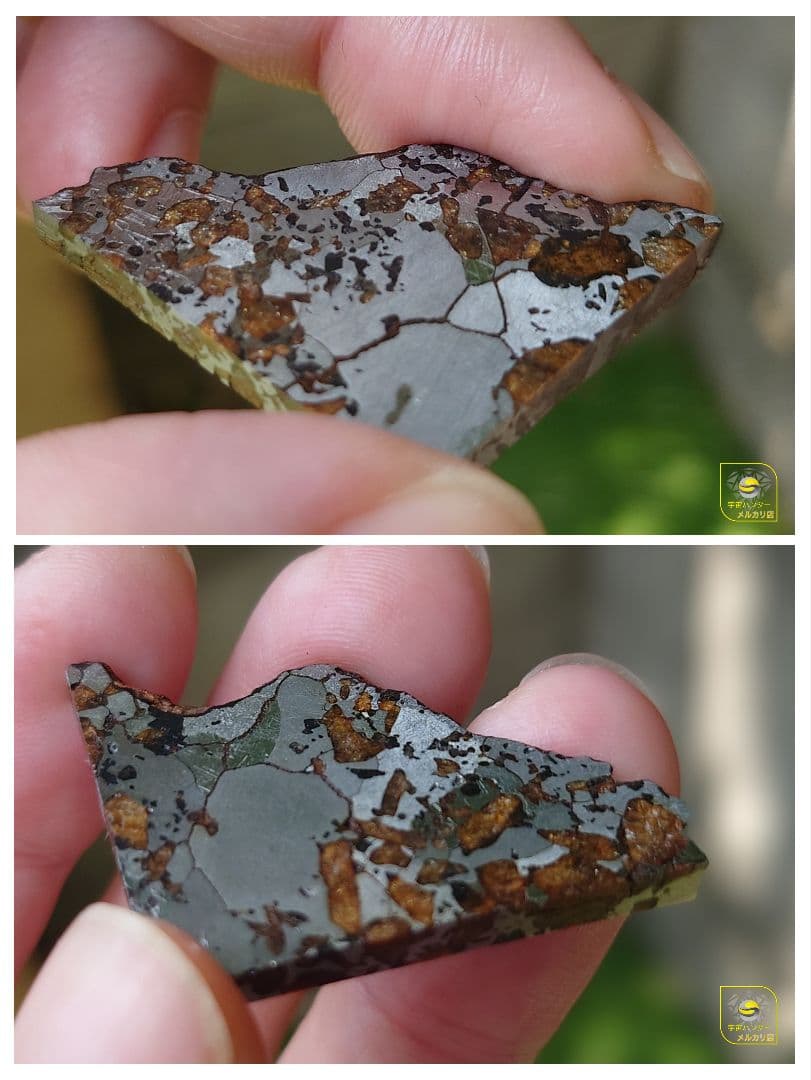 隕石 Hassi El Biod 002 パラサイト 12.23g⭐