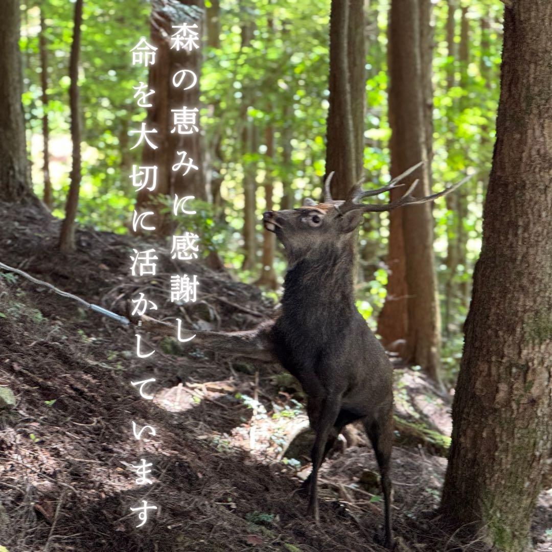 お得用‼️鹿あばらジャーキー 1kg 中小型犬向けサイズ 鹿肉ジャーキー