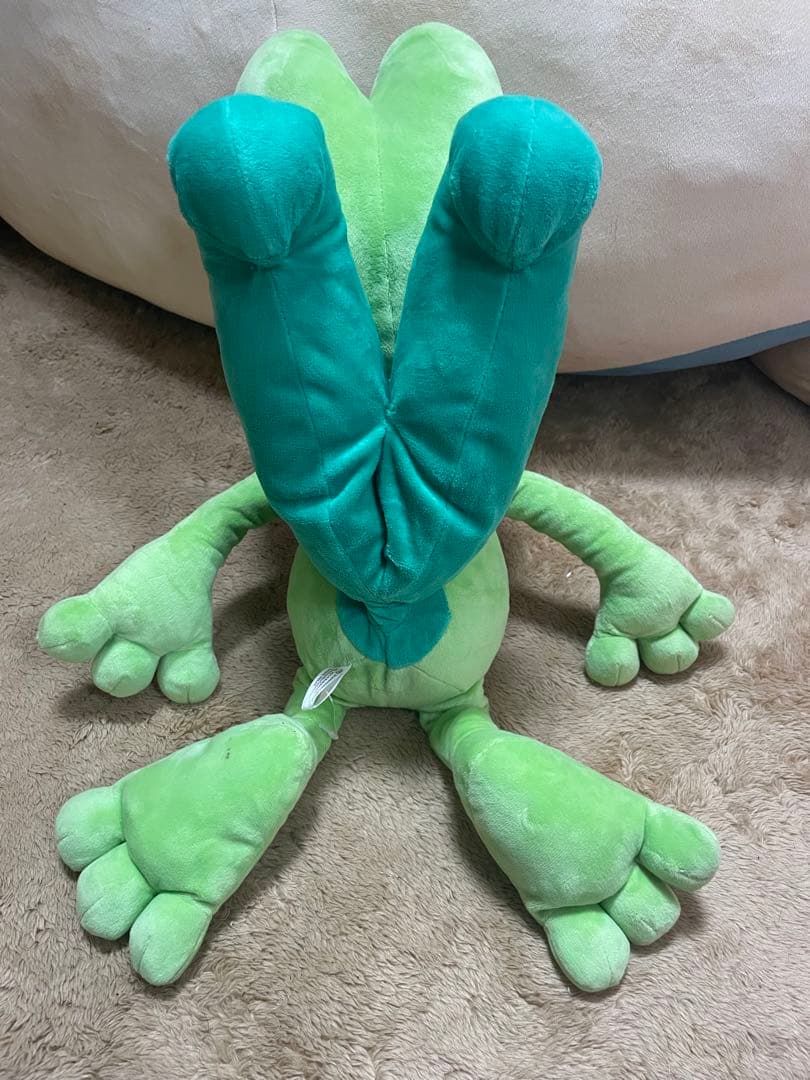 ホウエン御三家 等身大ぬいぐるみ