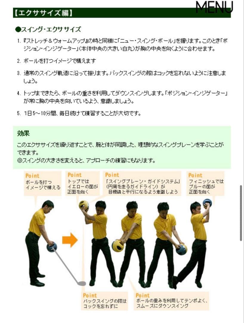 ソナ ニュー スイングボール (SONA NEW SWING BALL)