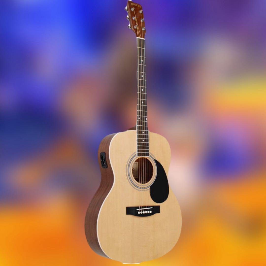 アコースティックギター HONEY BEE F-16E