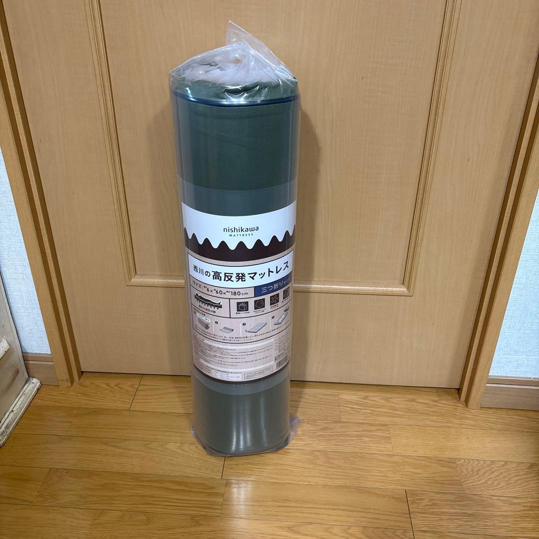 nishikawa 西川 寝心地にこだわった　ごろ寝マット　グリーン