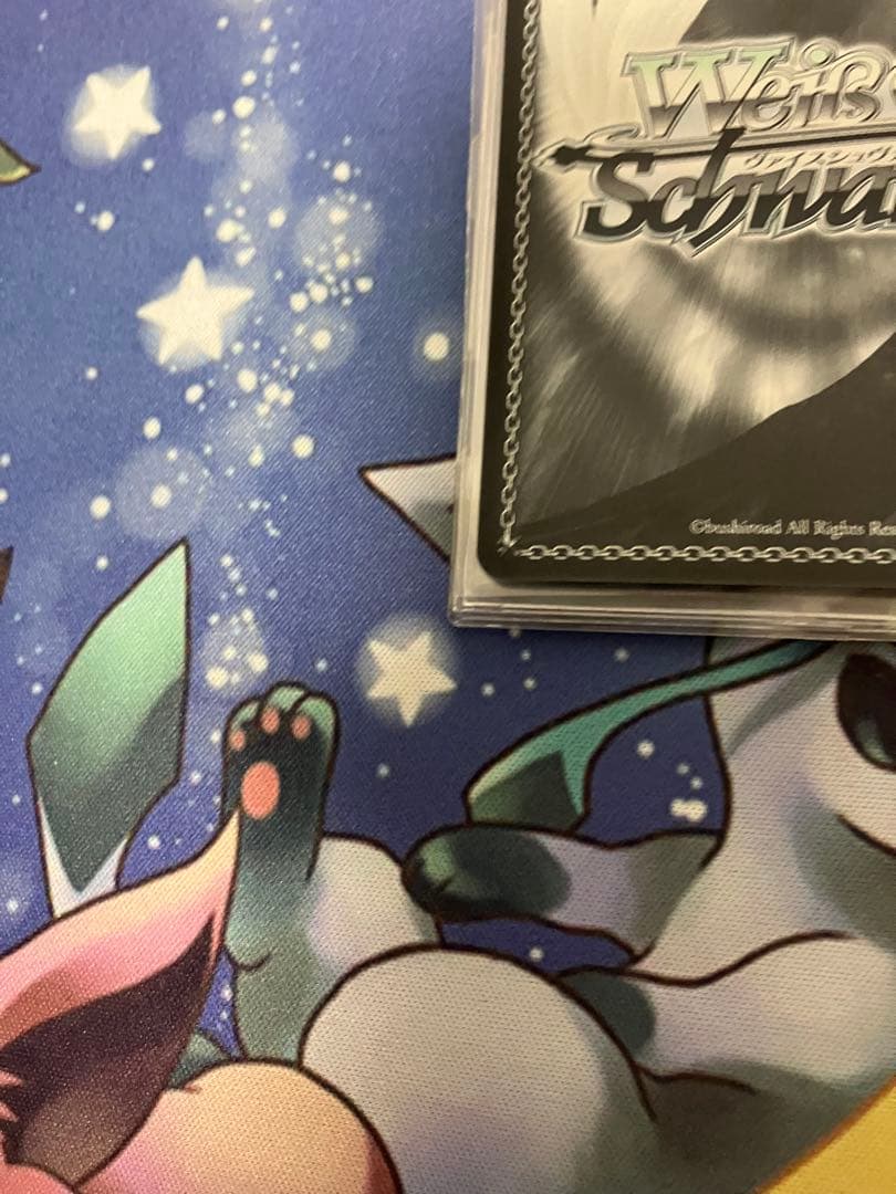 ヴァイスシュヴァルツ 異世界常夏生活 レム sp