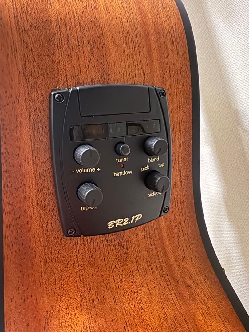 Baton Rouge AR11C/ACE アコースティックギター