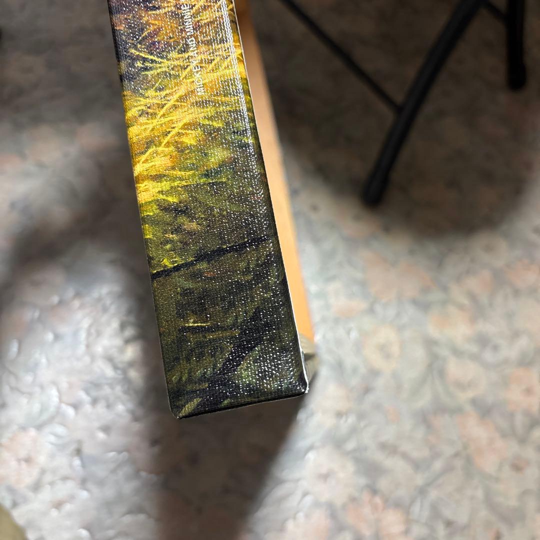 トーマスキンケード　ディズニー　ミッキー&ミニー/イン ザ アウトバック