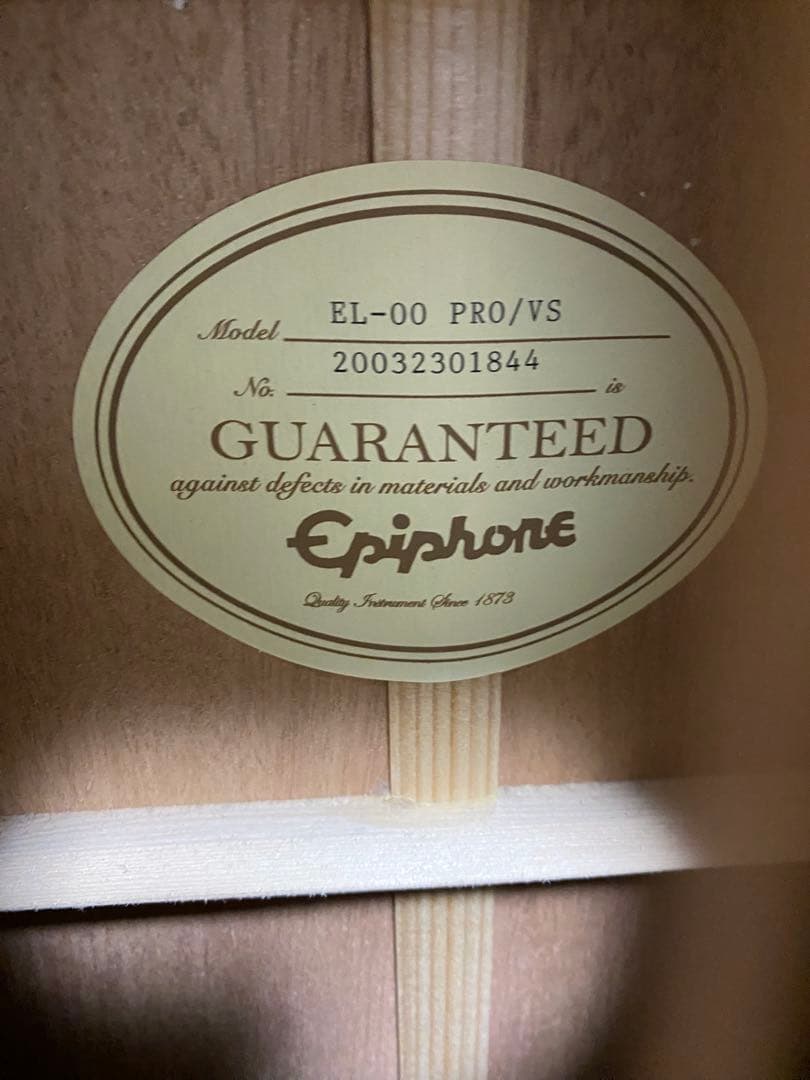 エピフォン Epiphone EL-00 PRO/VS