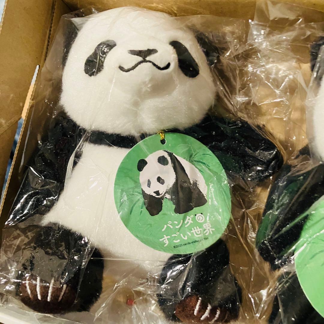 映画 パンダのすごい世界 ぬいぐるみ 2体セット