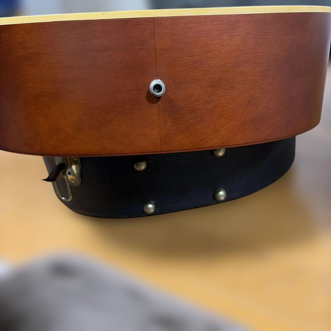 アコースティックギター ハードケース付き　シーガル　S6＋FOLK