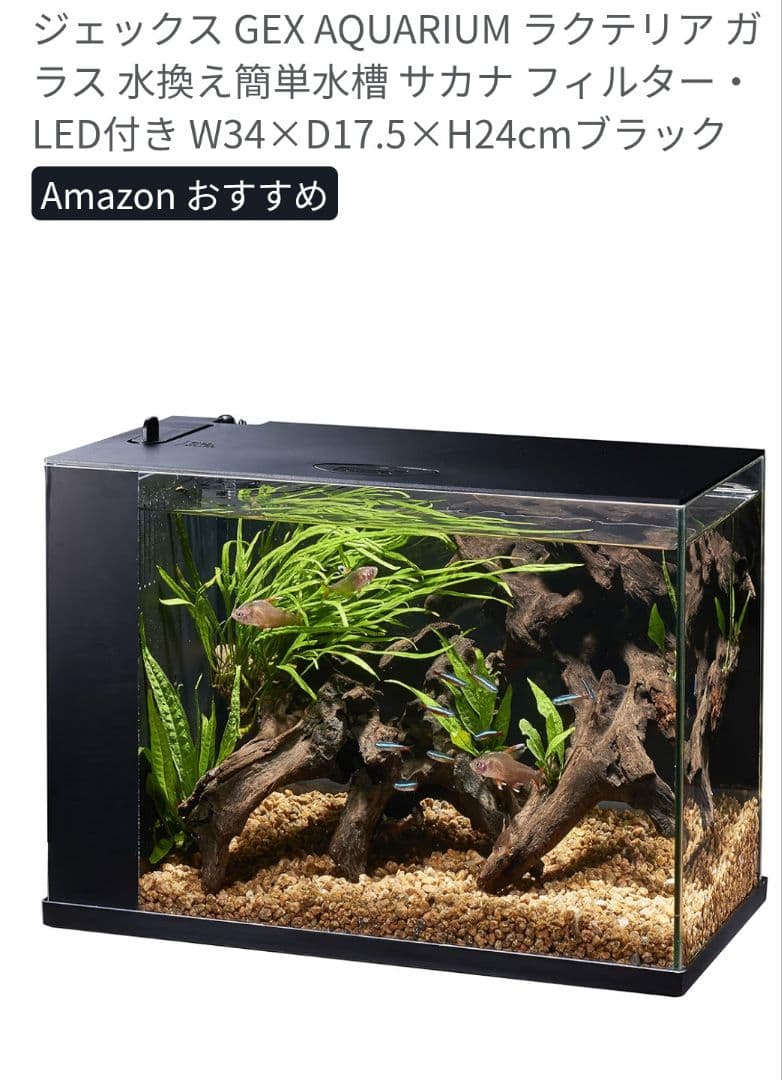 ★2個セット★ GEX ラクテリア ガラス水槽 W34×D17.5×H24cm