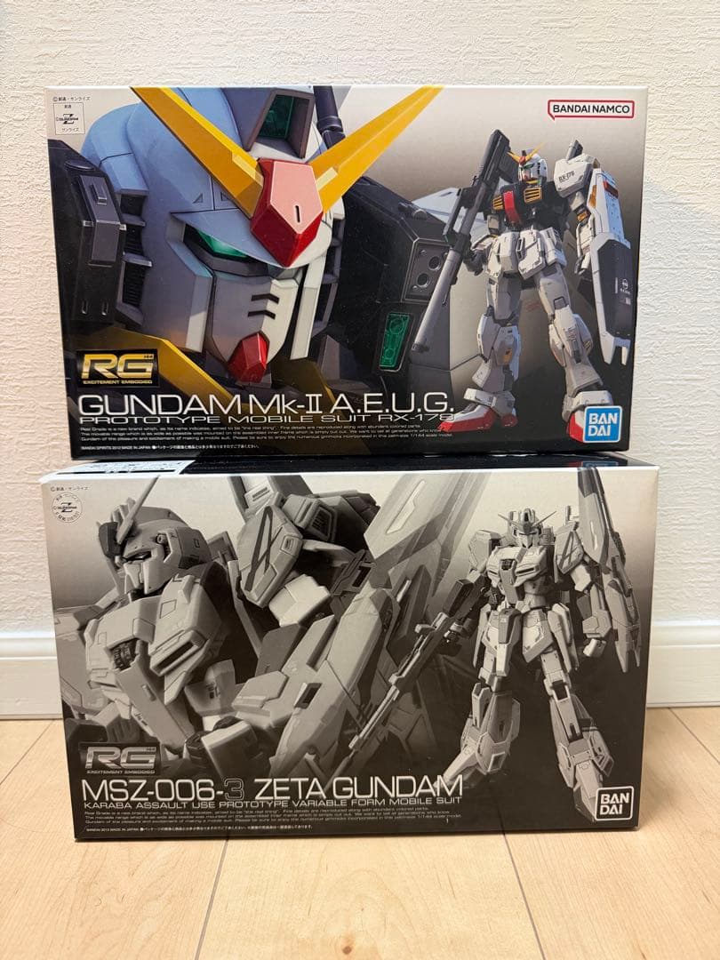 特限〜P還元中 RGガンプラ2体セット