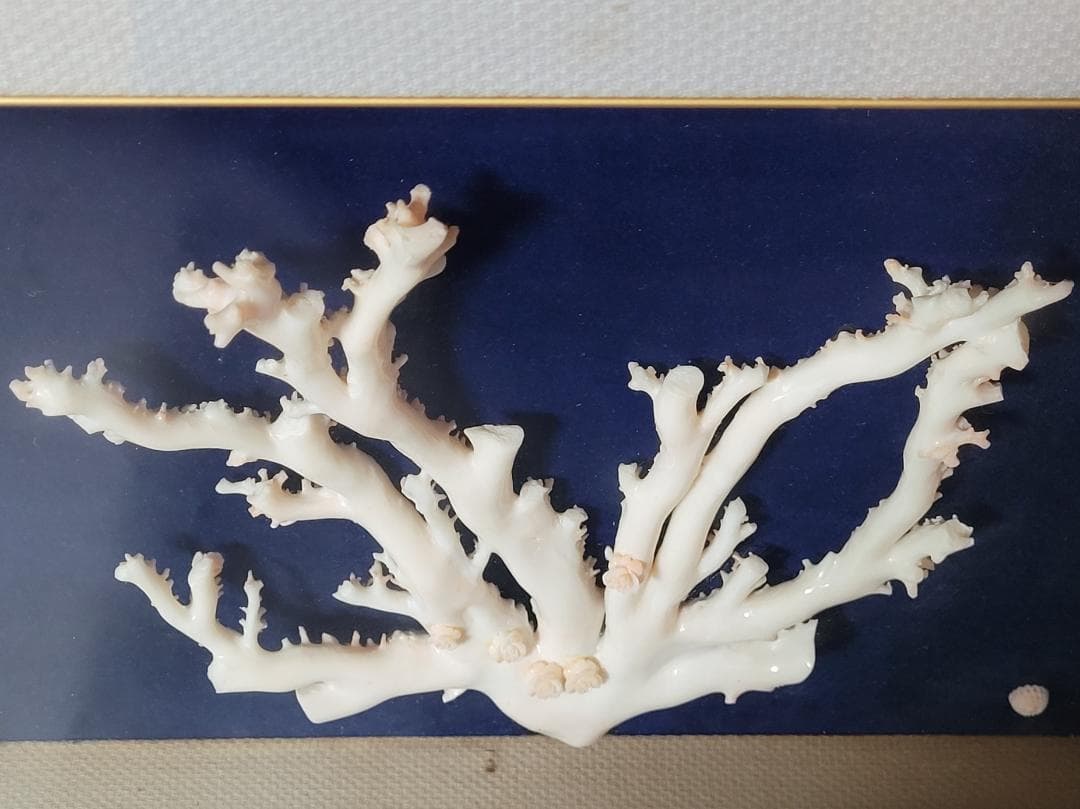 天然希少材料 彫刻 額装 壁飾 置物 横幅約55.8cm