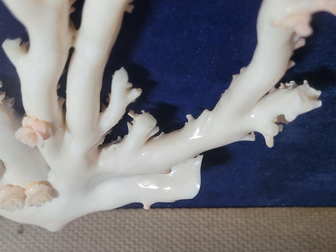 天然希少材料 彫刻 額装 壁飾 置物 横幅約55.8cm