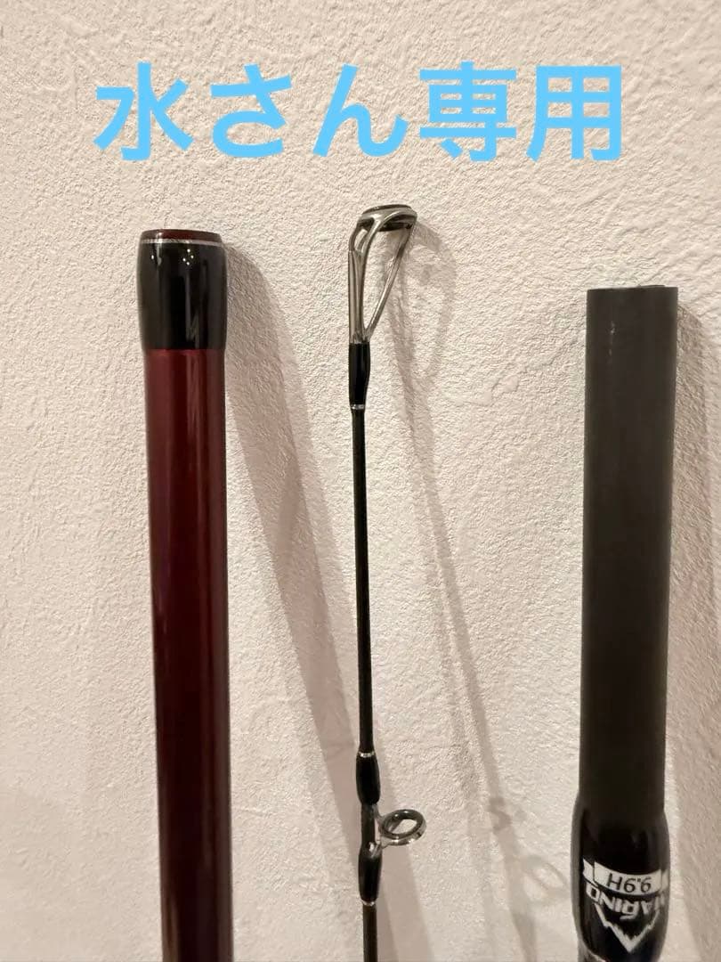 フィッシュマン　ブリストマリノ　9.9H