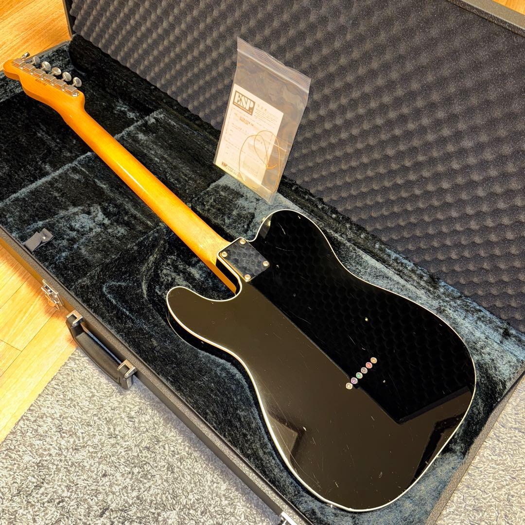 2019年製 ESP Navigator N-TE-CTM / Black