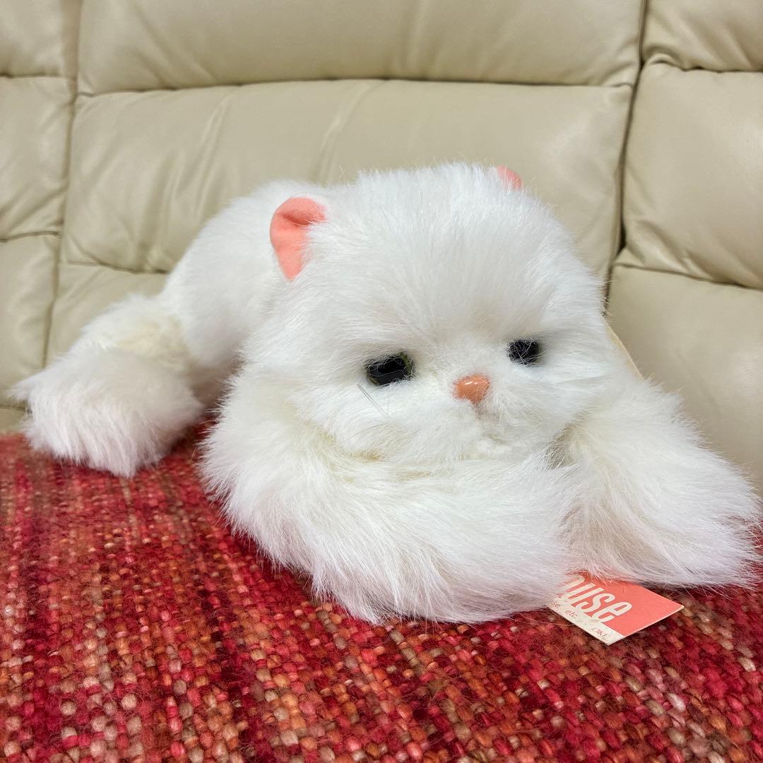 オオイケ　ペルシャネコ　ボビー　M