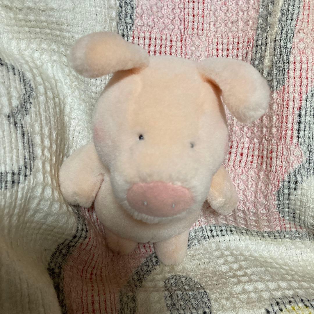 サンアロー　kipper ブタ　ぬいぐるみ　中古品