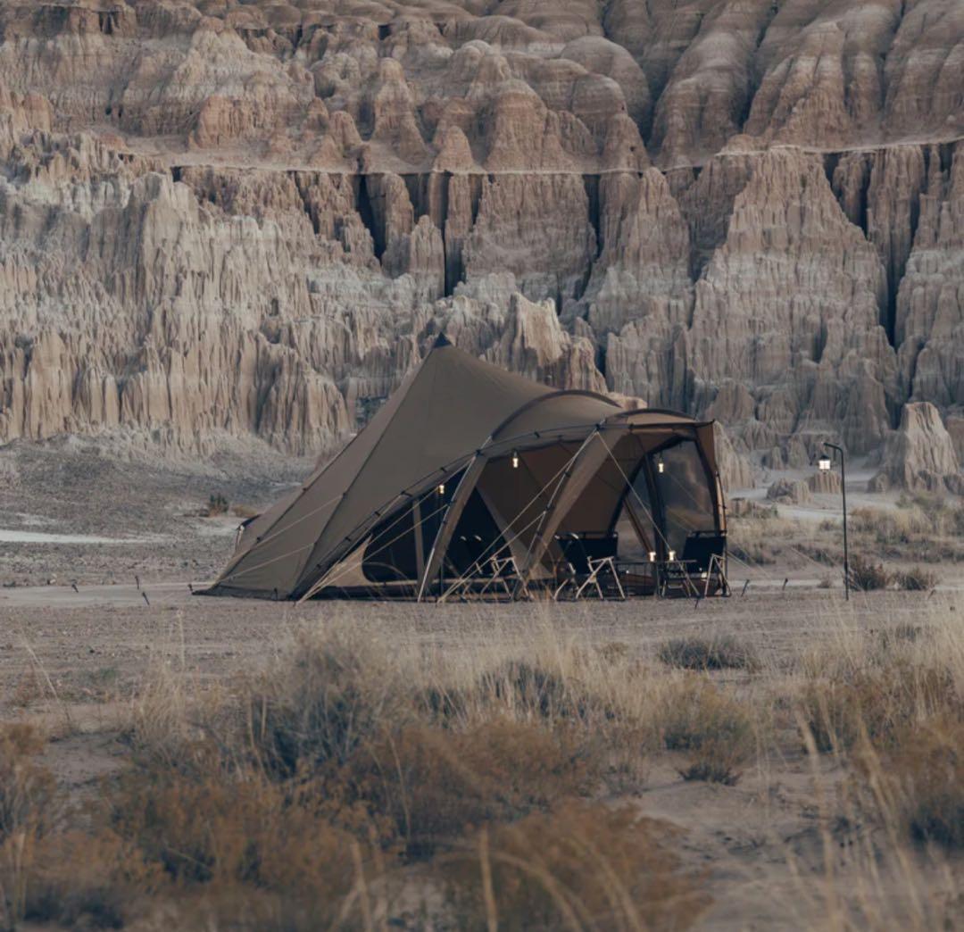 新品未使用 ZANE ARTS ゼインアーツ LOLO ロロ PS-033